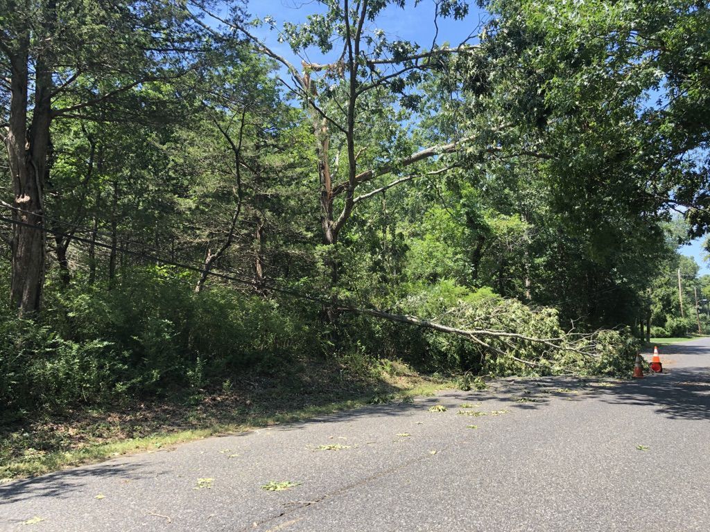 Tropical Storm Isaias aftermath in Hammonton